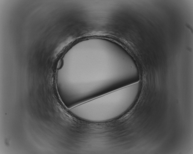 X0000102041406200807181019