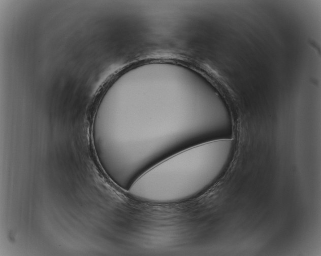 X0000102041408200807181019