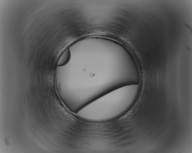 X0000102041409200807181019