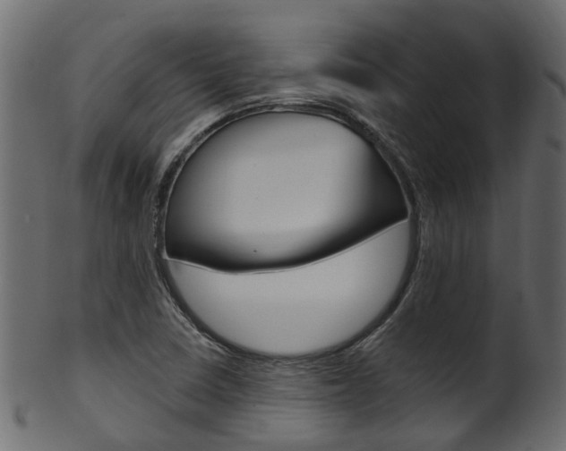 X0000102041410200807181019