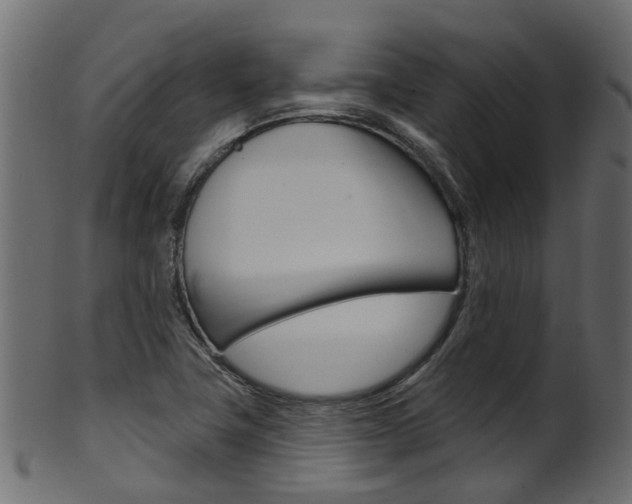 X0000102041411200807181019