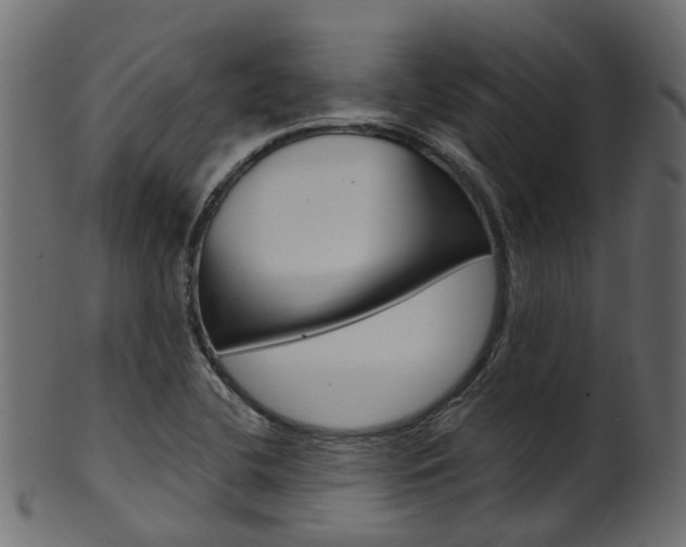 X0000102041412200807181019