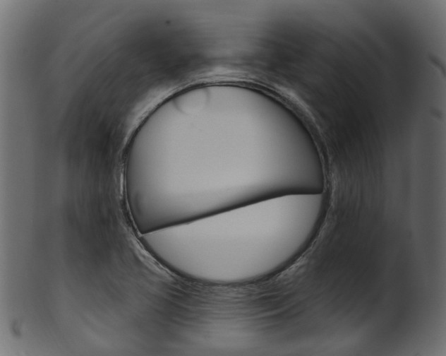 X0000102041413200807181019