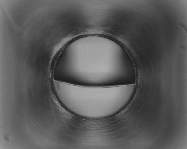 X0000102041414200807181019