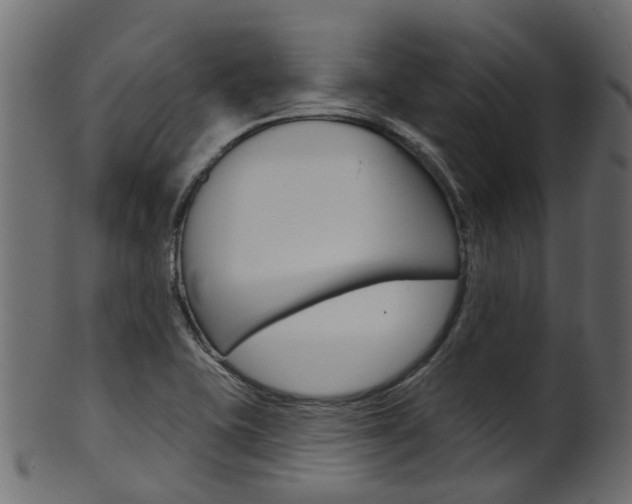 X0000102041415200807181019