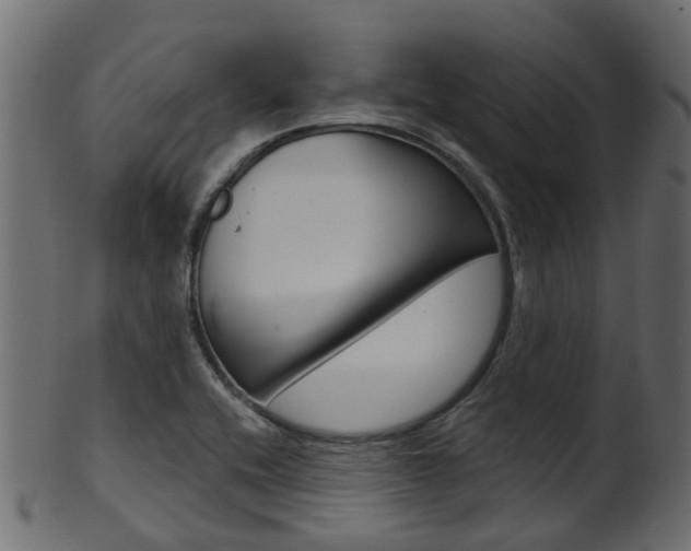 X0000102041416200807181019