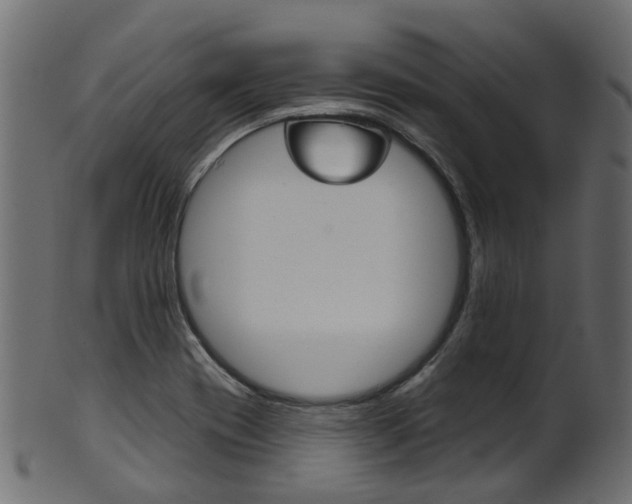 X0000102041417200807181019