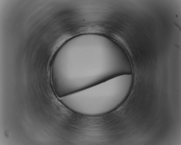 X0000102041419200807181019
