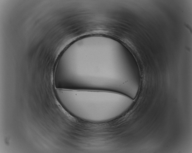 X0000102041420200807181019