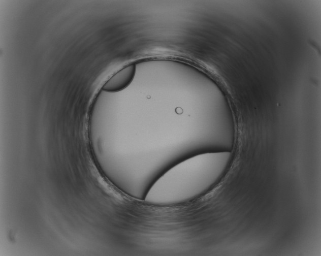 X0000102041421200807181019