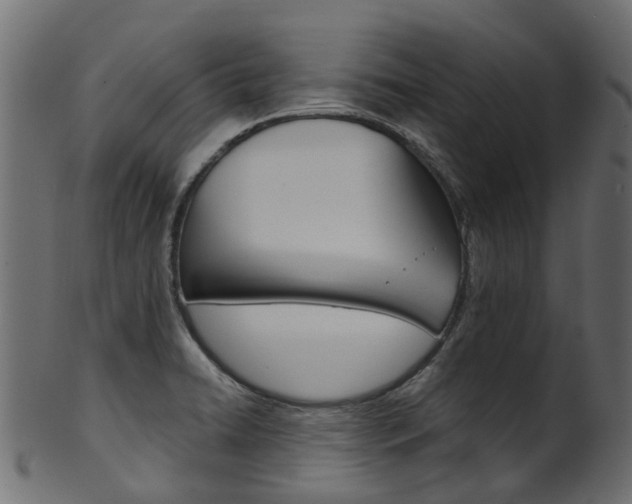 X0000102041422200807181019
