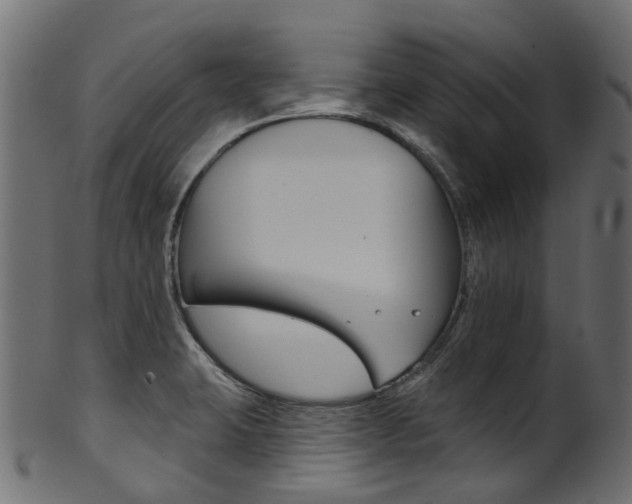 X0000102041423200807181019
