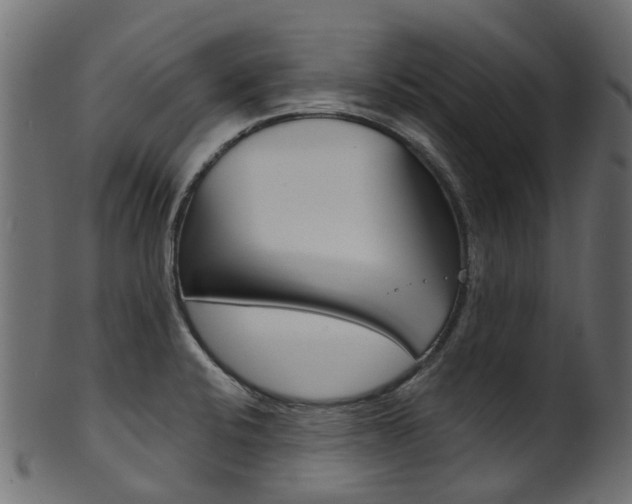 X0000102041424200807181019