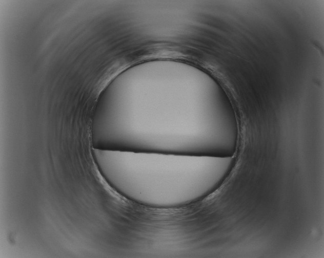 X0000102041425200807181019
