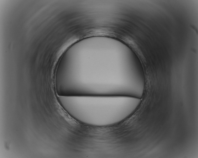 X0000102041427200807181019