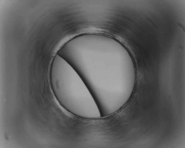 X0000102041429200807181019