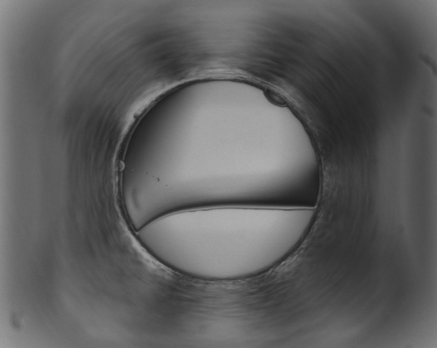 X0000102041430200807181019
