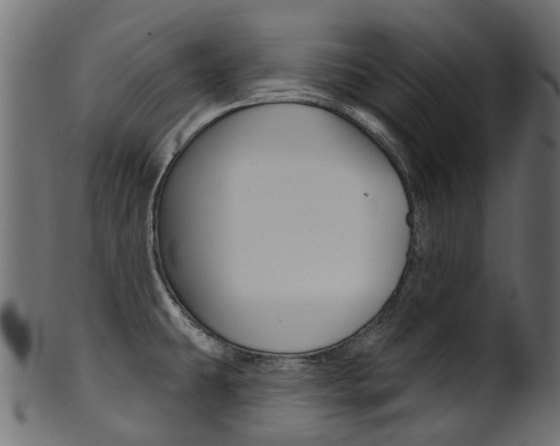 X0000102041431200807181019