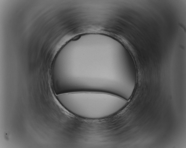 X0000102041432200807181019