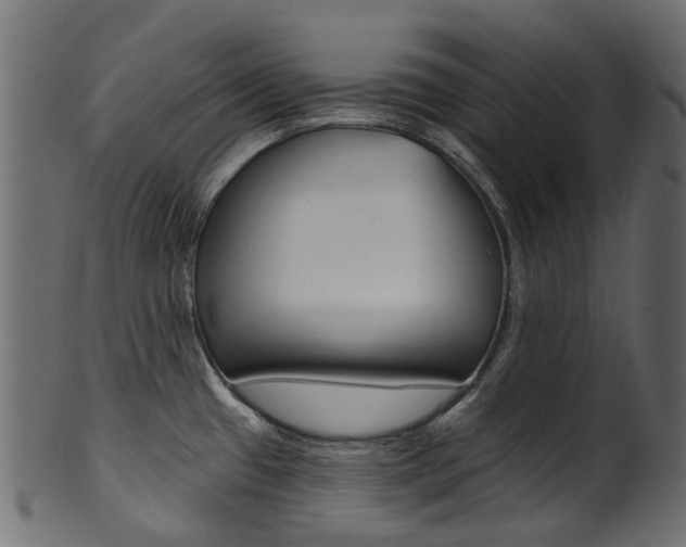 X0000102041433200807181019