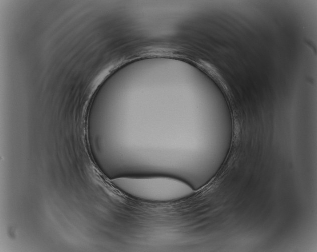 X0000102041435200807181019