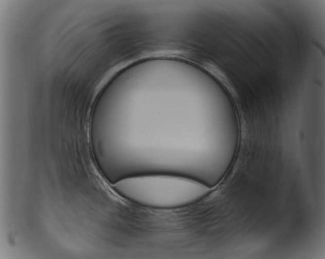 X0000102041436200807181019