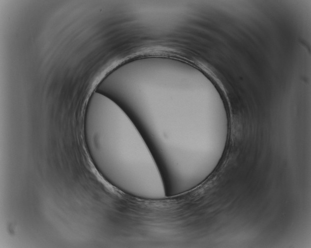 X0000102041437200807181019