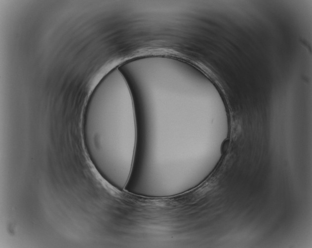 X0000102041438200807181019