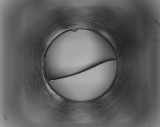 X0000102041439200807181019