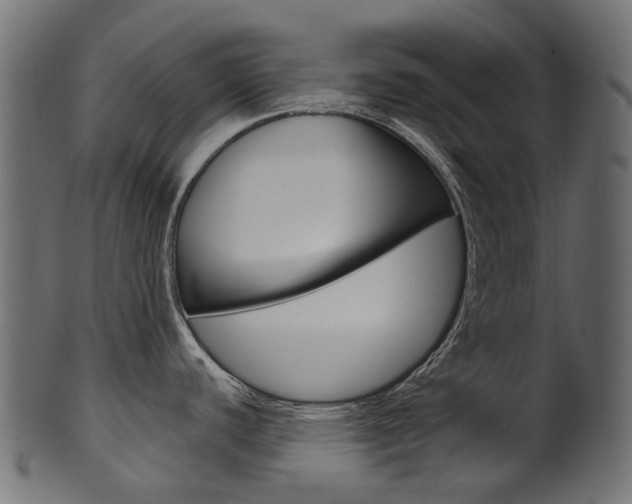 X0000102041440200807181019