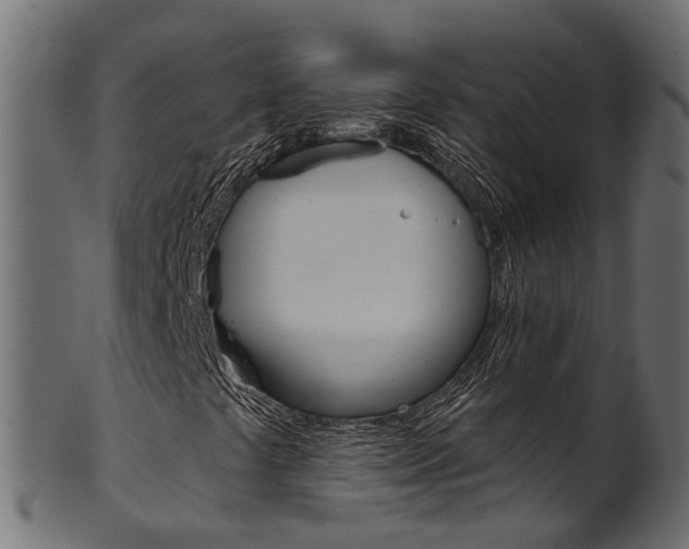 X0000102041441200807181018