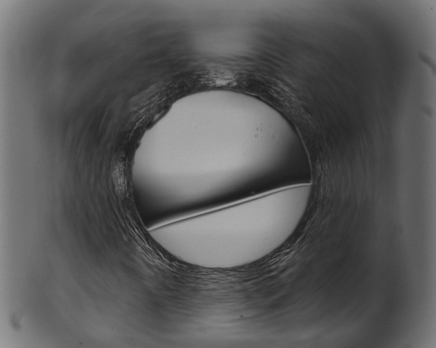 X0000102041442200807181018