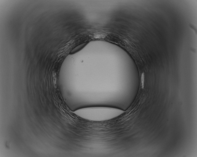 X0000102041443200807181018