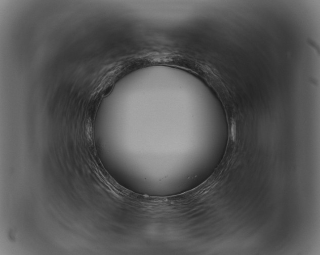 X0000102041444200807181018