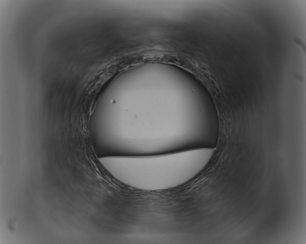 X0000102041445200807181018