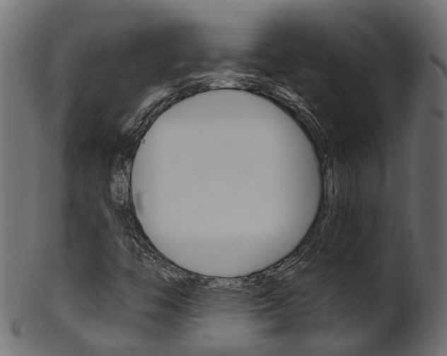 X0000102041446200807181018