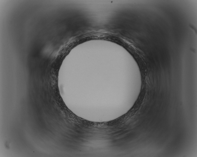 X0000102041447200807181018