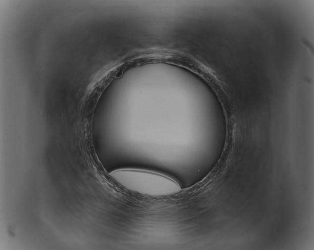 X0000102041448200807181018