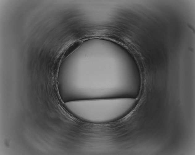 X0000102041449200807181018