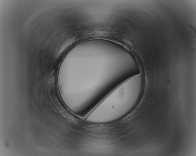 X0000102041450200807181018