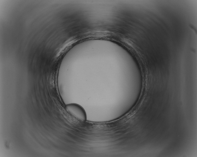 X0000102041451200807181018