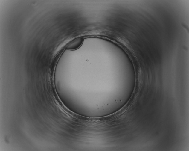 X0000102041452200807181018