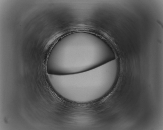 X0000102041453200807181018
