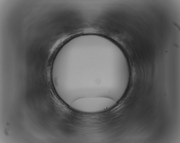 X0000102041454200807181018
