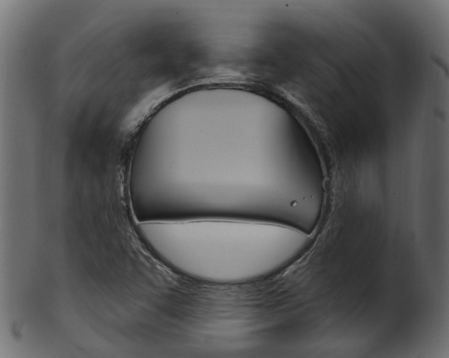 X0000102041455200807181018