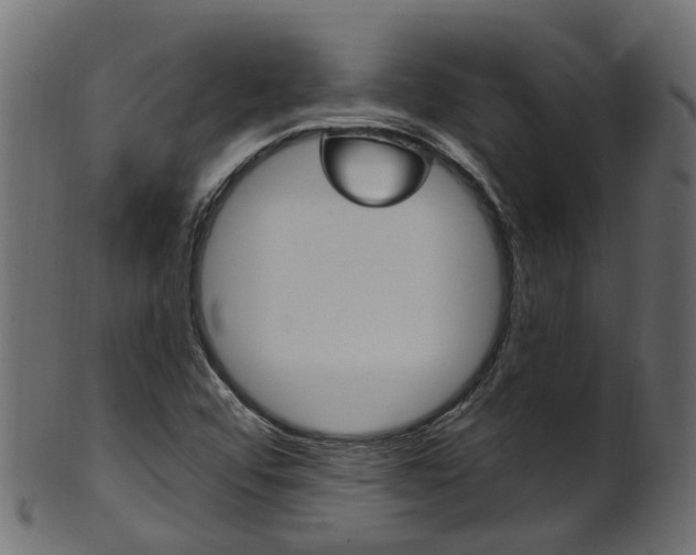 X0000102041456200807181018