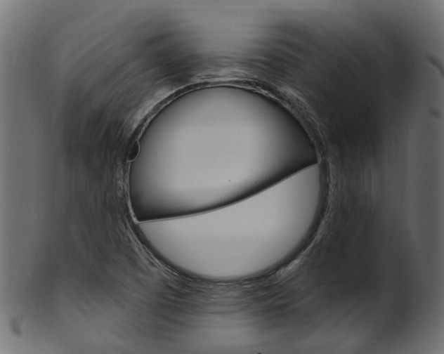 X0000102041457200807181018