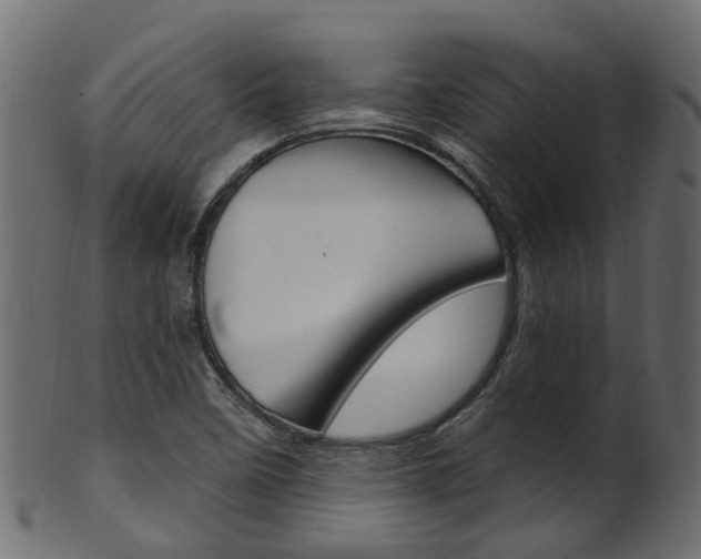 X0000102041458200807181018