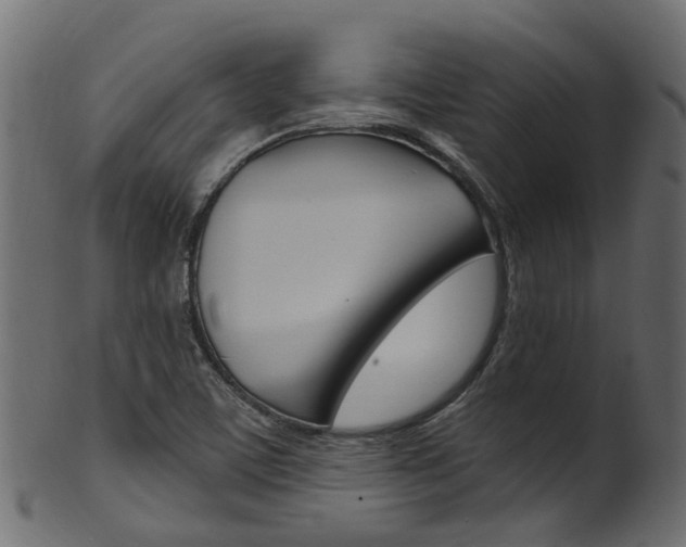 X0000102041459200807181018