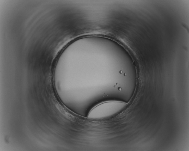 X0000102041460200807181018
